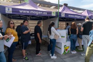 La gente hace cola bajo carpas moradas con el cartel "www.mogan.es".